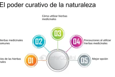 Cómo utilizar hierbas y especias para potenciar el sabor y los beneficios de tus platos